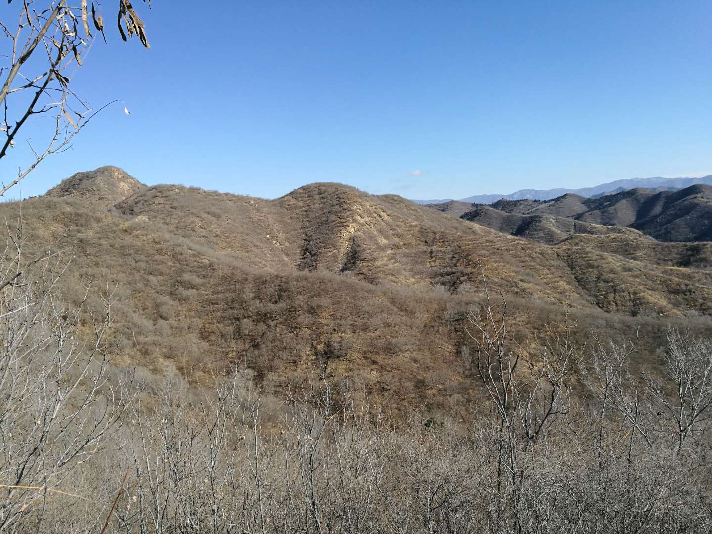 承德縣三溝鎮(zhèn)北杖子村林地326畝尋求出租