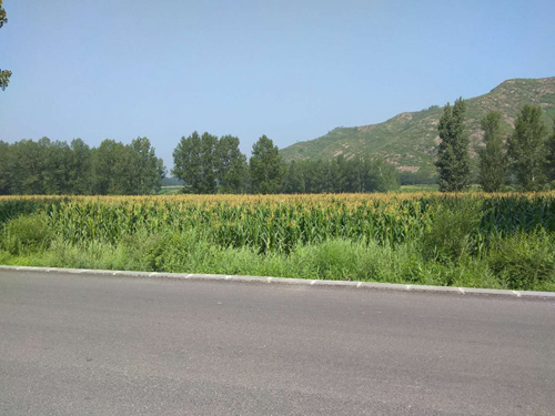 承德市高新區(qū)上板城鎮(zhèn)西大廟村0.79畝土地經(jīng)營權(quán)出租